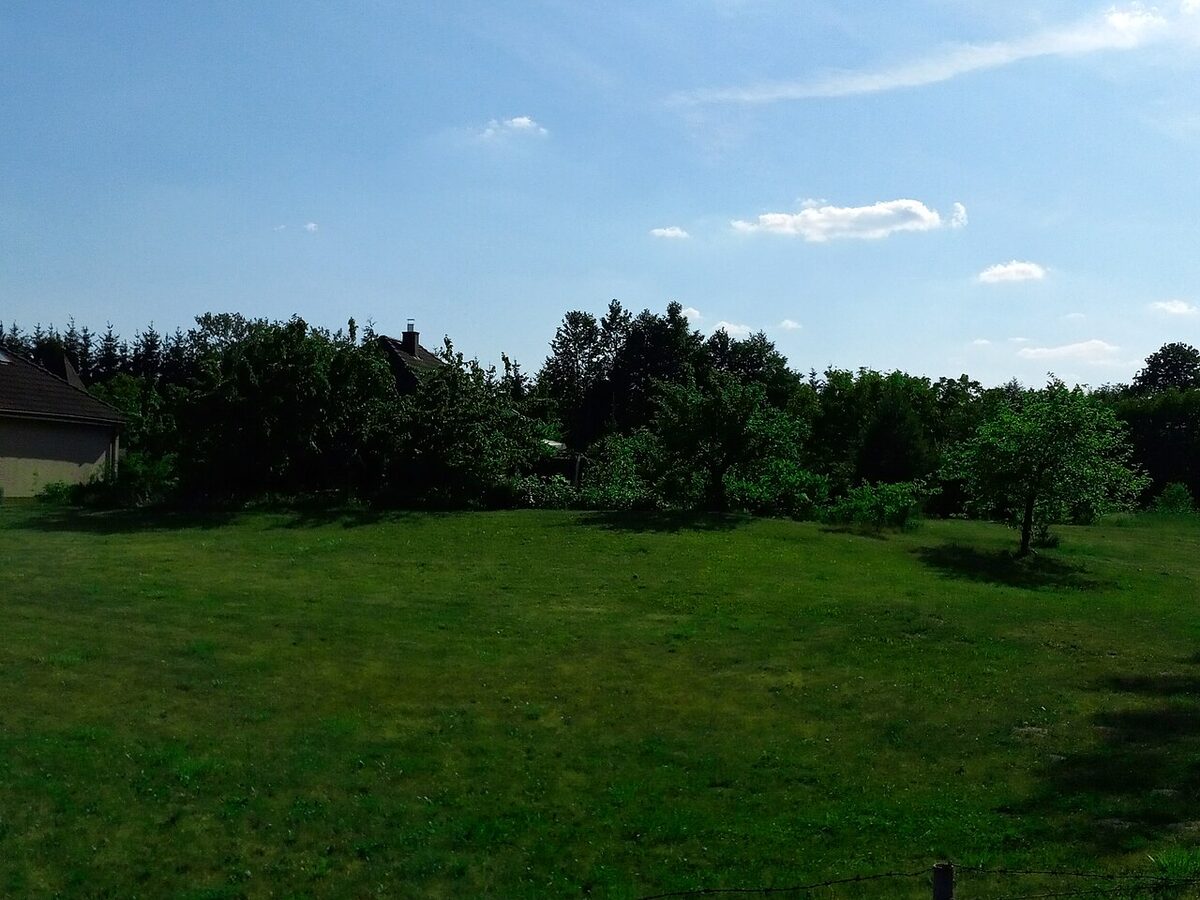 Freshly mown home lawn under a wide sky — the crisp finish after trimming and edging