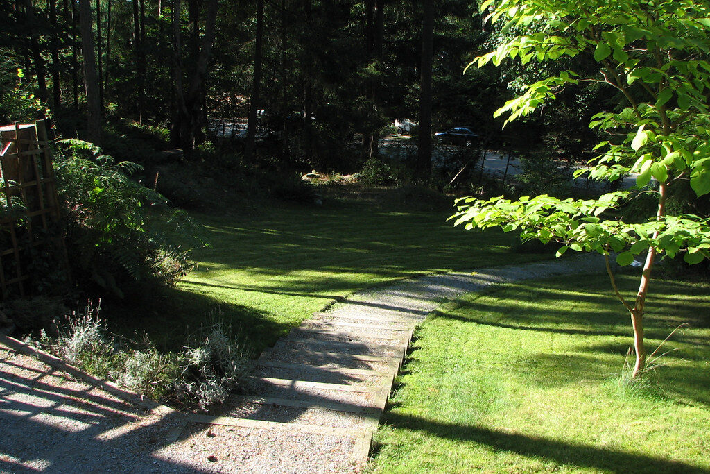 Freshly mown shady garden lawn with stone steps and young trees in dappled sunlight