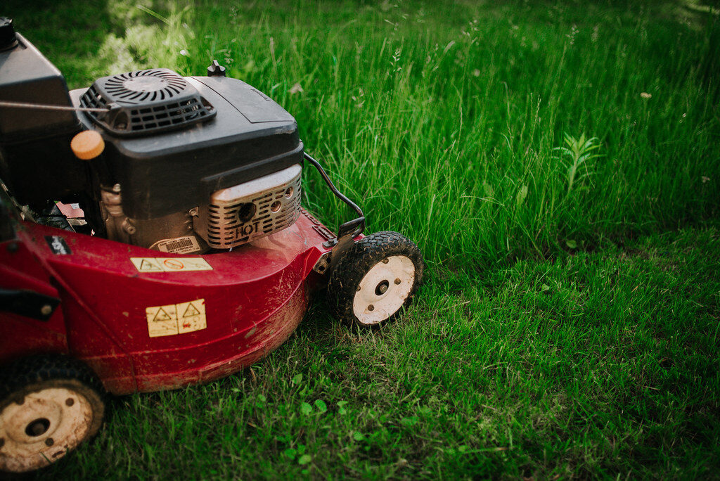 Close-up of a red petrol lawn mower cutting through lush tall green grass