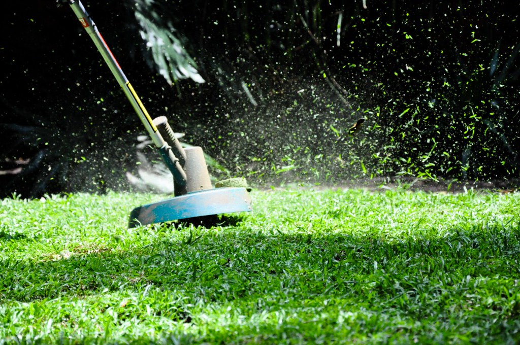 Line trimmer head flinging grass clippings while edging a vivid green lawn